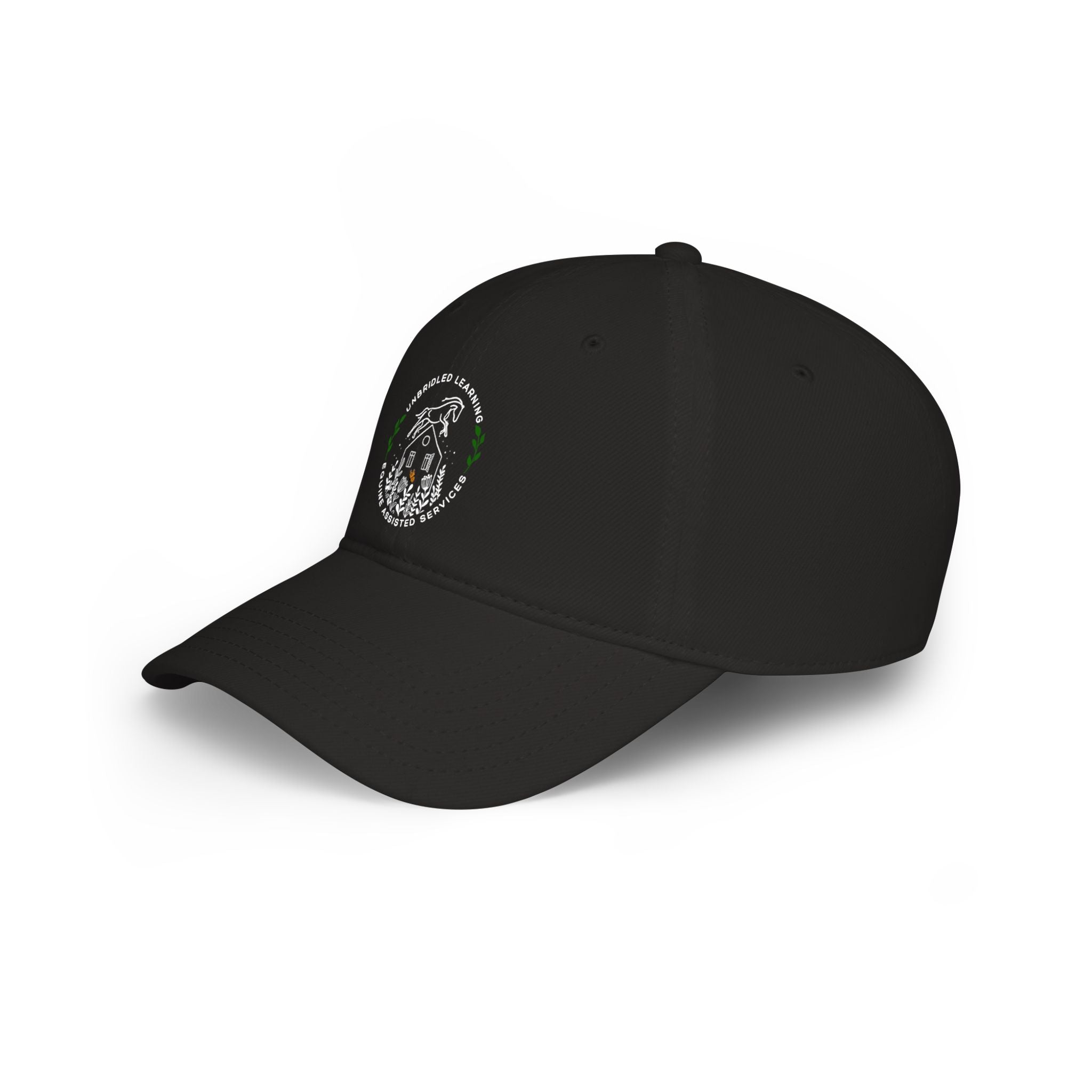 Low Profile Baseball Cap