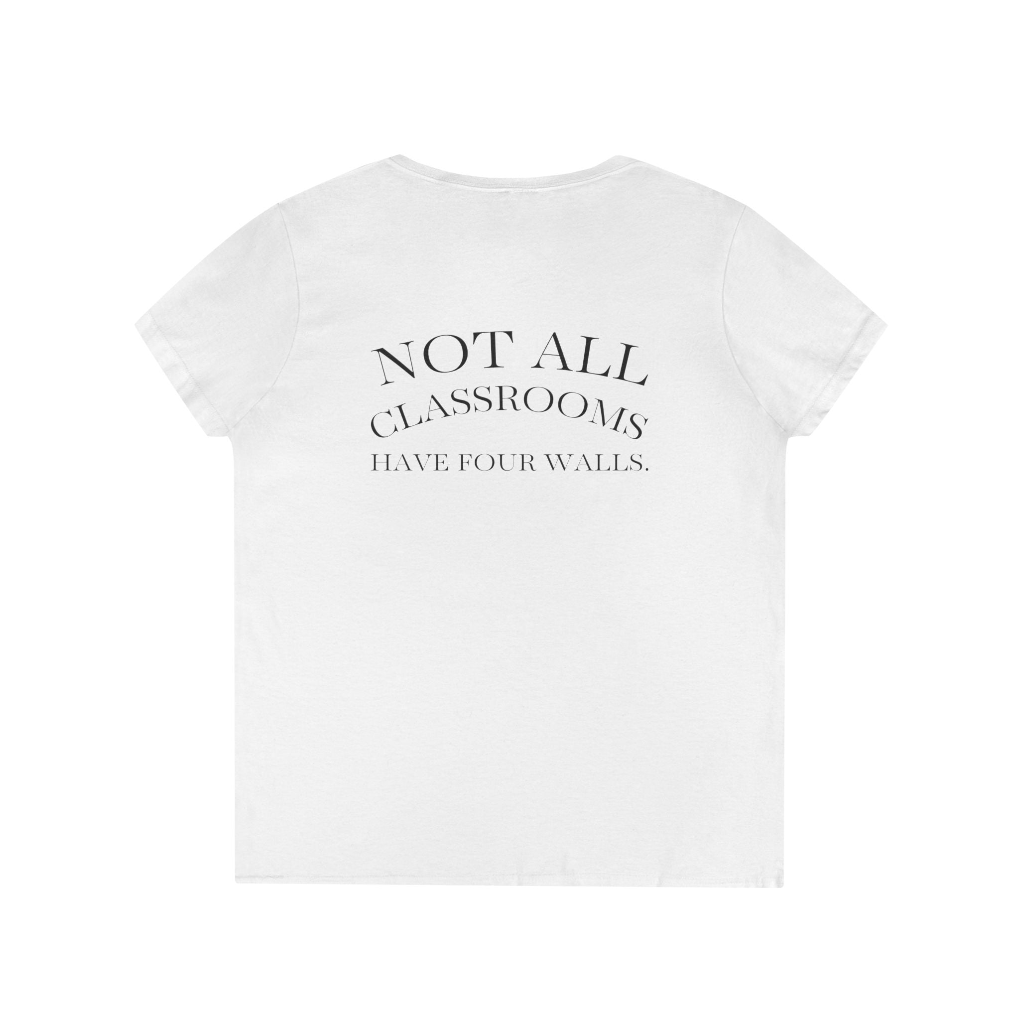 Ladies' V-Neck T-Shirt